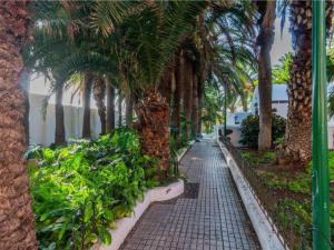 Fotografie z fotogalerie ubytování Live Puerto Valle Luz v destinaci Puerto de la Cruz