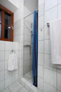 een douche met een blauw douchegordijn in de badkamer bij Penzion Skála in Čenkovice