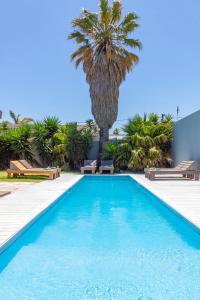 a swimming pool with a palm tree in the background at Bloubergstrandlodge in Bloubergstrand