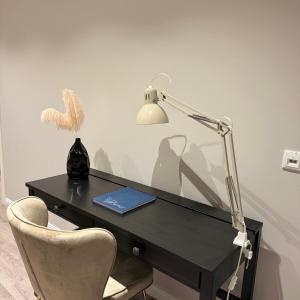 a desk with a lamp and a laptop and a chair at JPP 1- Zimmer Apartment in Hamburg Farmsen Berne SELF CHECK-IN in Hamburg