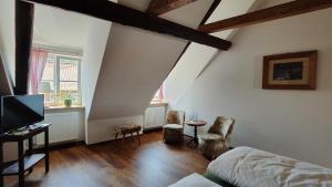 TV a/nebo společenská místnost v ubytování Traditions - Hotel "Zur Tanne"
