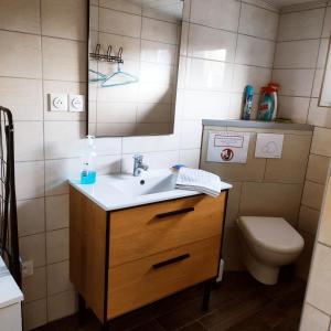 a bathroom with a sink and a toilet at Le Bas Champ in Favières