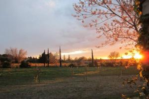 un tramonto in un campo con il tramonto di Cabane perchées au Mas du Lion a Arles