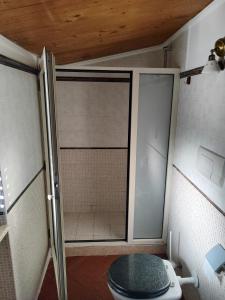 a bathroom with a shower with a toilet in it at Agriturismo Il Rifugio in Battipaglia