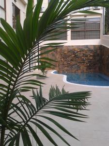 a palm tree in front of a house with a swimming pool at ARAMI HOTEL & LODGE in Puerto Iguazú