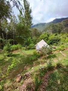 a small house in the middle of a field at La Pause Mafate in La Possession +6 photos