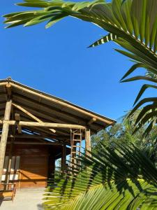 a wooden house with a palm tree in front of it at Sítio da Paz - Pinheira Sc in Palhoça