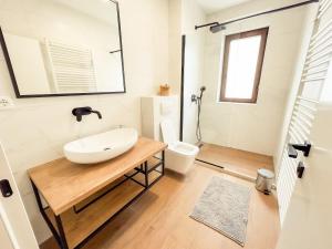a bathroom with a sink and a toilet at Villa verde leisure apartment in Tarvisio