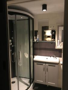 een badkamer met een douche en een wastafel bij De Tip 31 Tiny Chalet in Zeeland