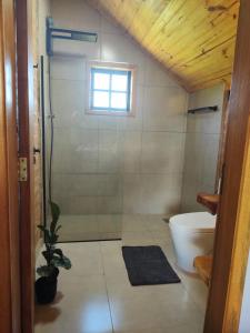 een badkamer met een douche en een toilet bij Chalé Sítio São José in Santo Antônio do Pinhal