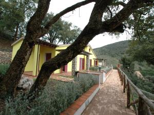 a yellow house with a tree and a brick sidewalk at Villaggio Di Mezzo Ortano in Rio Marina