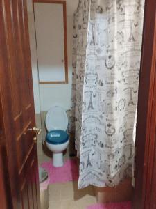 a bathroom with a blue toilet and a shower curtain at όμορφο διαμερισμα με δυο κρεβατοκάμαρες in Delfoi