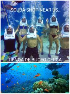 un grupo de personas nadando en el océano en Marysol Lodging Hostel & Camping, en San Andrés