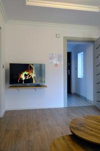 sala de estar con chimenea en la pared en Leśna Muzyka Apartment Limanowa, en Limanowa