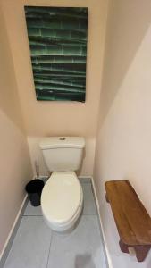 a bathroom with a toilet and a painting on the wall at Finca Libelulas in Pedasí Town