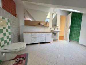 a bathroom with a toilet and a sink at Huge two floor apartment on the Park Colonnade with free parking for one car, 160 sqm in Karlovy Vary