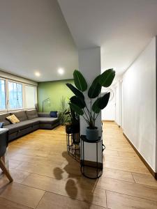 a living room with a couch and a potted plant at Appartement Port Marianne/Arenes in Montpellier