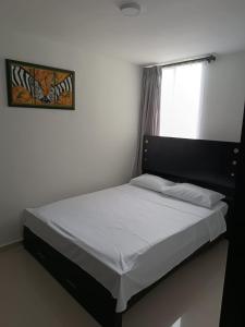 Bett in einem kleinen Zimmer mit Fenster in der Unterkunft Apartamento Hogar fuera de casa in Armenia