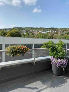 two potted plants sitting on a balcony at Preiswertes stilvolles Zimmer im privaten Haus mit großem schönem modernem Gemeinschaft Badenzimmer in Lörrach