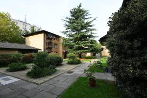 a garden with a pine tree and a building at Spacious Walthamstow Apartment in London