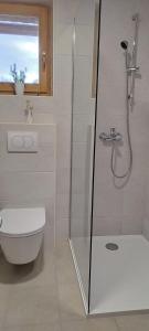 a bathroom with a shower and a toilet at House for rest and fun JEKA in Duga Resa