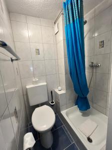 a bathroom with a toilet and a shower with a blue curtain at Gästehaus AM HAFEN in Meersburg