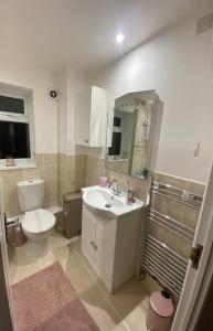 La salle de bains est pourvue de toilettes, d'un lavabo et d'un miroir. dans l'établissement Cosy- 1 bedroom house, à Derby