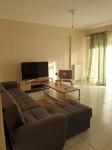 Zorzet في كارديتسا: غرفة معيشة بها أريكة وتلفزيون