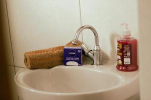 瑟拿的住宿－Pousada no Sana Donna Leda，浴室水槽配有1瓶肥皂和肥皂分配器