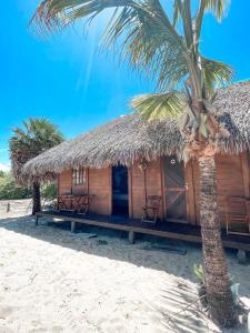 a hut on the beach with a palm tree at Atins Beach Houses in Atins