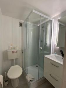 La salle de bains est pourvue d'une douche, de toilettes et d'un lavabo. dans l'établissement Superbe Duplex Vue Château et Lac, à Neuchâtel