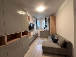 Μια τηλεόραση ή/και κέντρο ψυχαγωγίας στο Cozy 1 bedroom apartment