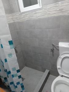 Łazienka w obiekcie Apartman Forest Broćanac