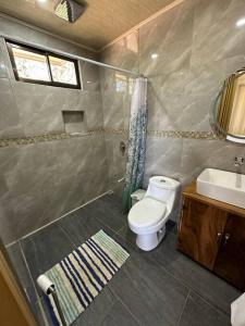 uma casa de banho com um WC e um lavatório em Apartamento Villa em Villarreal