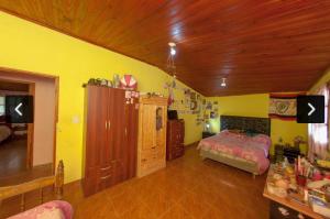 LozanoにあるCasita Lozanoの黄色の壁のベッドルーム1室