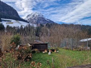 Príroda v okolí apartmánu