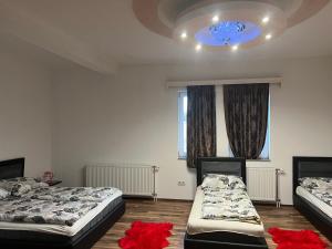 Afbeelding uit fotogalerij van Guesthouse Vanilla in Sjenica +28 foto's