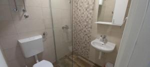 een badkamer met een douche, een toilet en een wastafel bij Apartmani Kovačević Banja Vrujci in Gunjica