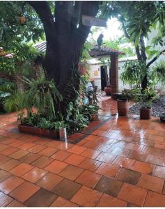 un patio con un árbol y un suelo de ladrillo con plantas en Hotel La Casona Vieja, en Valledupar