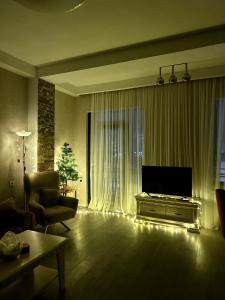 uma sala de estar com uma televisão, um sofá e uma cadeira em Aparthotel Kutaisi em Kutaisi
