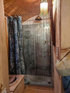 uma casa de banho com chuveiro e cortina de chuveiro em roulotte à la mauvaise herbe em Barjols