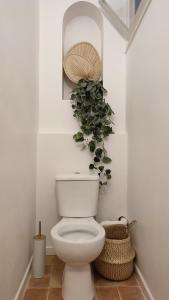 a bathroom with a toilet with a plant on the wall at Maison Charmeilles - La suite Saint Emilion in Fronsac