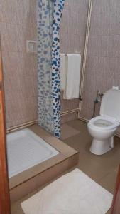 a bathroom with a toilet and a shower at RAOOF HOTEL in Mahajanga