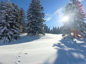 un campo cubierto de nieve con árboles y huellas en la nieve en Ferien in der Region Lenzerheide, en Lenz