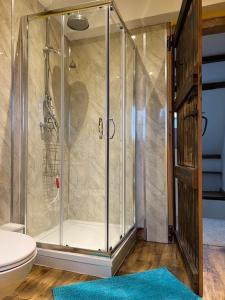 La salle de bains est pourvue d'une cabine de douche et de toilettes. dans l'établissement Thatched Cottage, à Ashford