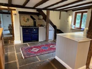 a kitchen with a stove and a counter top at Thatched Cottage in Ashford