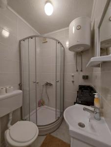 Starlux apartment في موستار: حمام مع دش ومرحاض ومغسلة