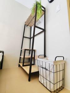 une étagère avec une plante dans une pièce dans l'établissement Ezzel’s Place at Marina Spatial Dumaguete City, à Dumaguete