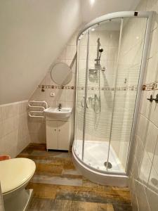 y baño con ducha, aseo y lavamanos. en Orlik by Good Spot en Duszniki Zdrój