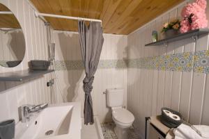 a bathroom with a toilet and a sink and a shower at LE LOVE CHALET DES ALPES in Guillestre